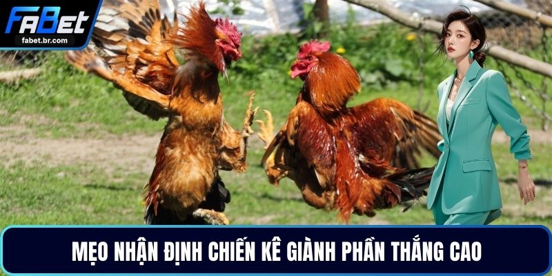 Mẹo nhận định chiến kê giành phần thắng cao