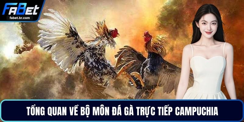 Tổng quan về bộ môn đá gà trực tiếp Campuchia